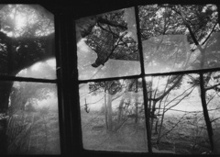 window/Jerrold